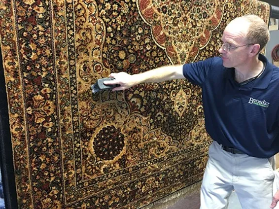 Rug Grooming