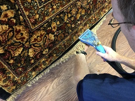 Rug Fringe Detail