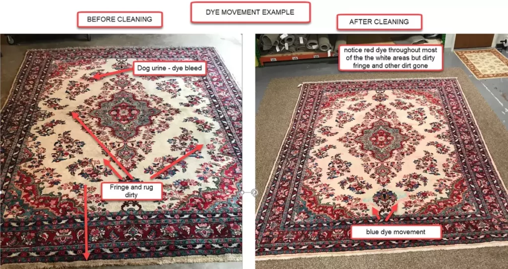 Dye Movement