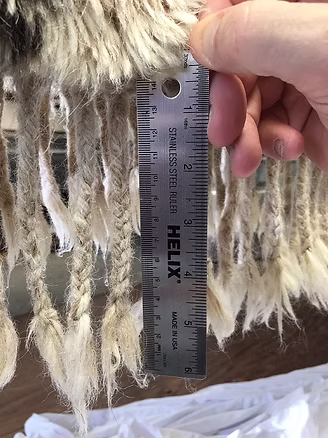 Shag Rug Cleaning Shag Rug Cleaning