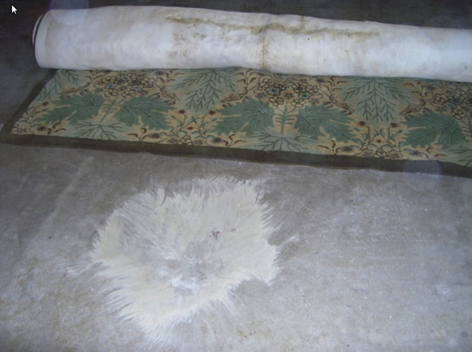 Backing Separation / Latex Decay latex decay