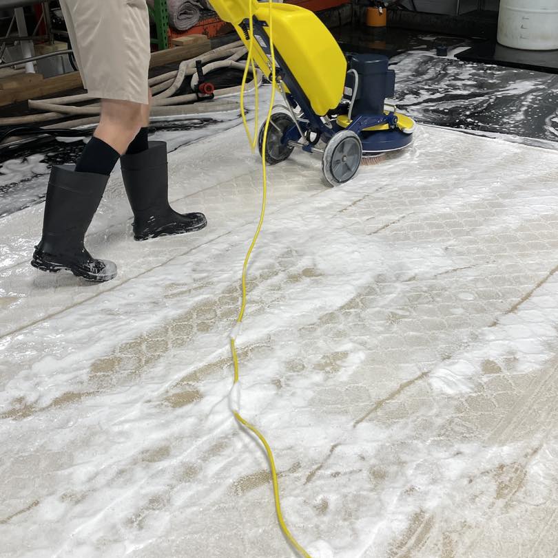 Rug Cleaning Process Rug Cleaning Process